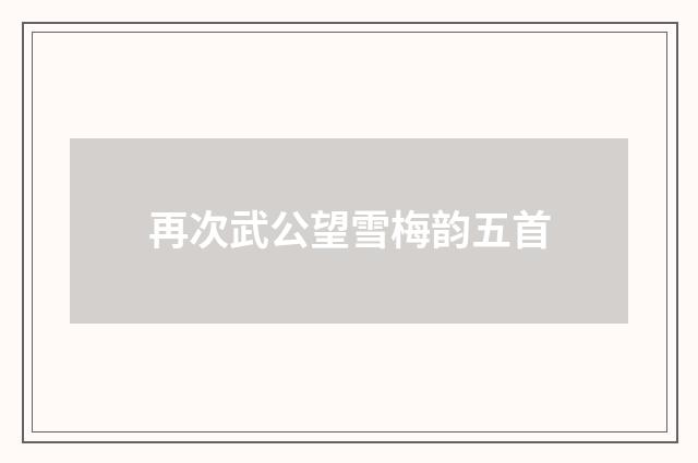 再次武公望雪梅韵五首