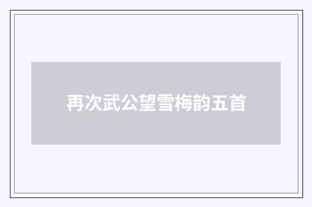 再次武公望雪梅韵五首