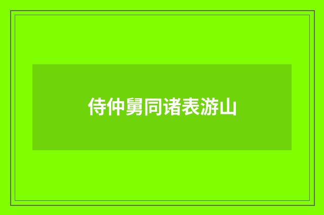 侍仲舅同诸表游山