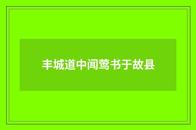 丰城道中闻莺书于故县