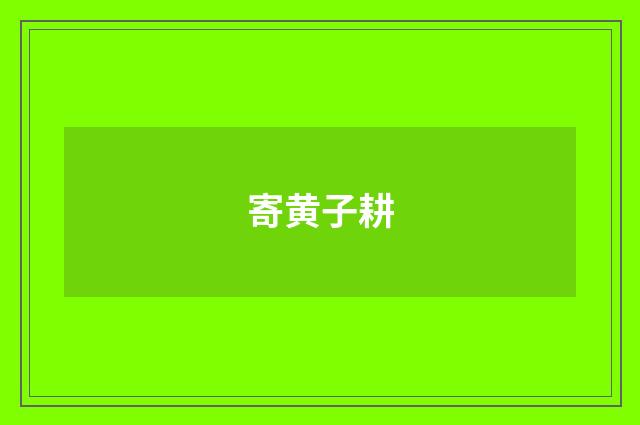 寄黄子耕