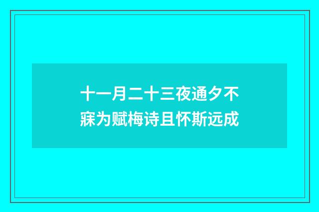 十一月二十三夜通夕不寐为赋梅诗且怀斯远成