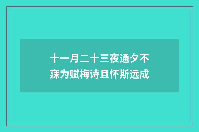 十一月二十三夜通夕不寐为赋梅诗且怀斯远成