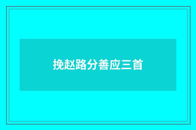 挽赵路分善应三首