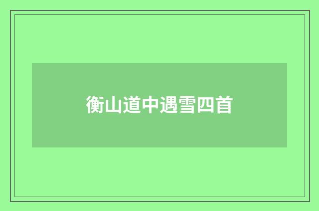 衡山道中遇雪四首