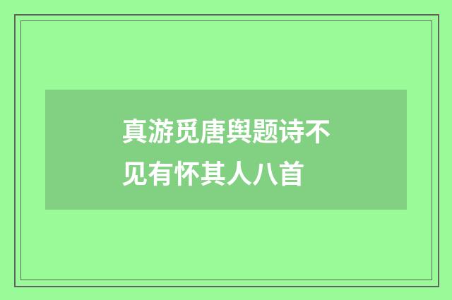真游觅唐舆题诗不见有怀其人八首