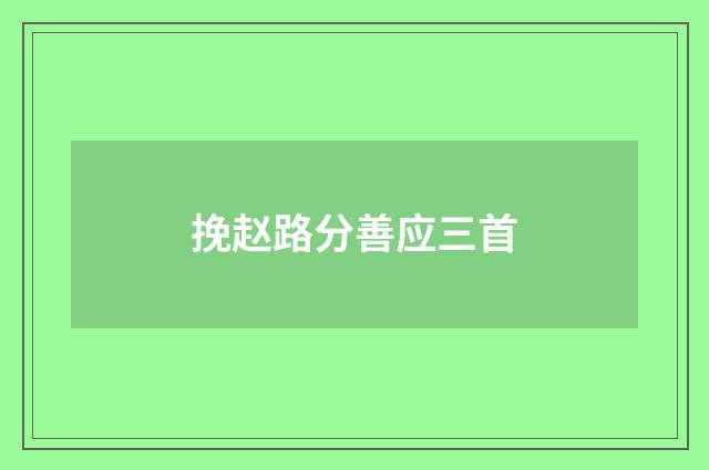 挽赵路分善应三首