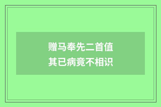 赠马奉先二首值其已病竟不相识