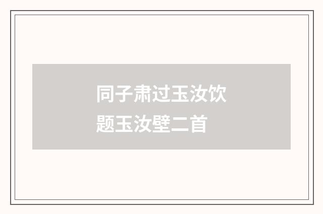 同子肃过玉汝饮题玉汝壁二首