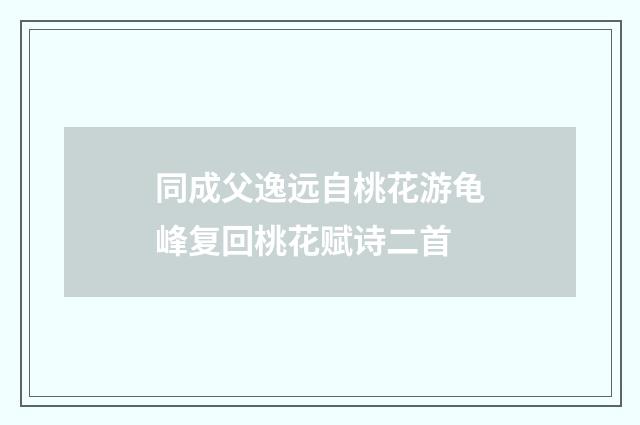 同成父逸远自桃花游龟峰复回桃花赋诗二首