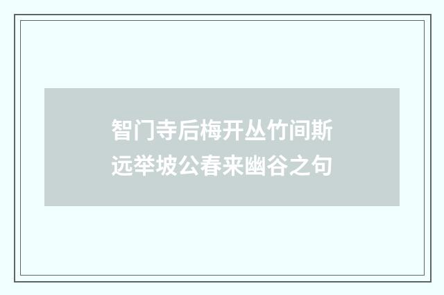 智门寺后梅开丛竹间斯远举坡公春来幽谷之句