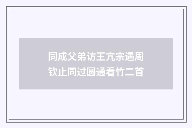 同成父弟访王亢宗遇周钦止同过圆通看竹二首