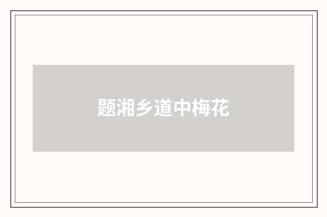 题湘乡道中梅花