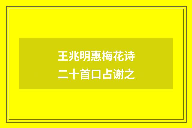 王兆明惠梅花诗二十首口占谢之