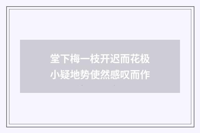 堂下梅一枝开迟而花极小疑地势使然感叹而作