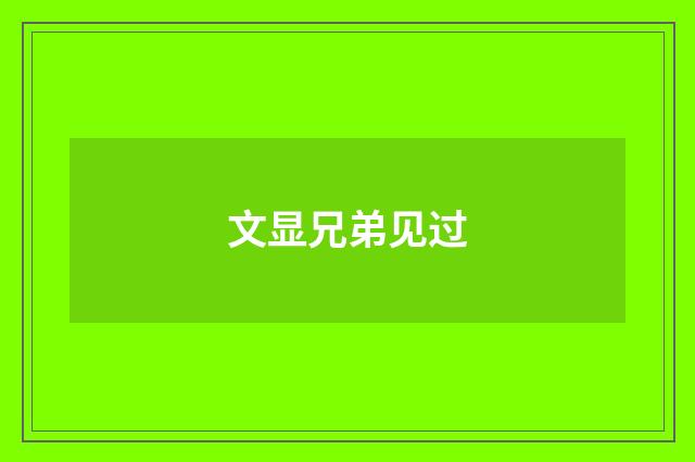 文显兄弟见过