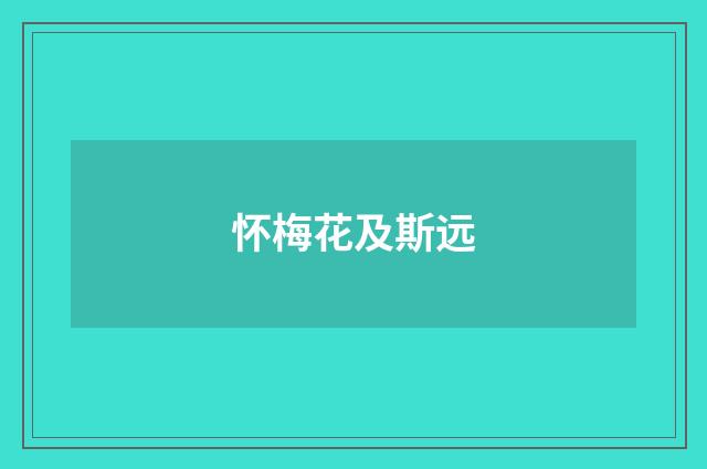 怀梅花及斯远