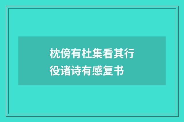 枕傍有杜集看其行役诸诗有感复书
