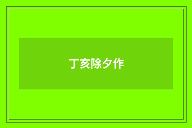 丁亥除夕作