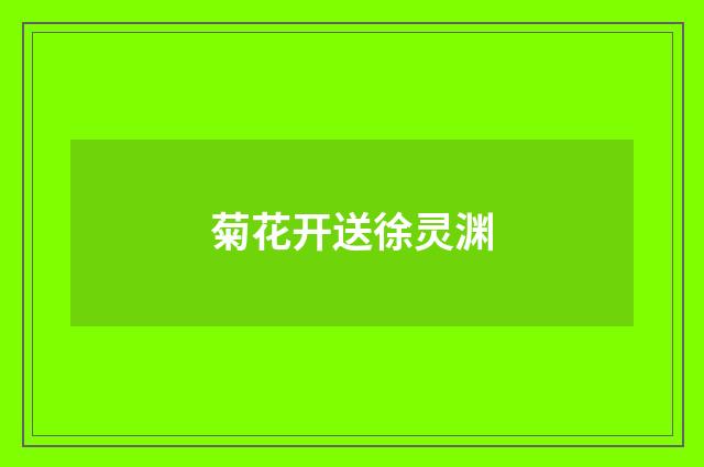 菊花开送徐灵渊