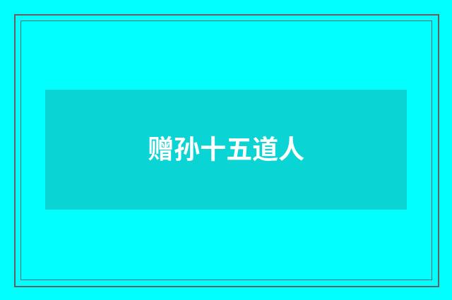 赠孙十五道人