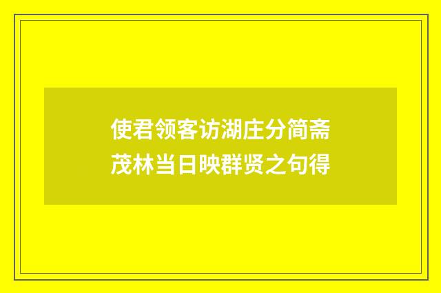 使君领客访湖庄分简斋茂林当日映群贤之句得