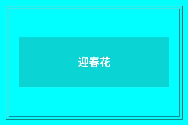 迎春花