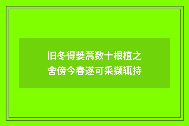 旧冬得蒌蒿数十根植之舍傍今春遂可采撷辄持