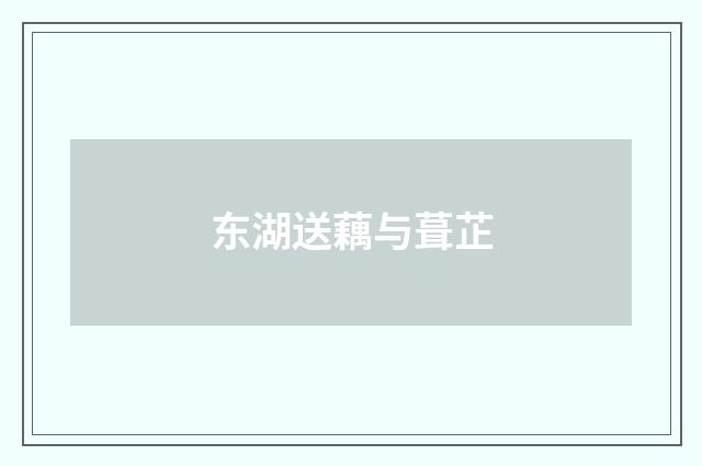 东湖送藕与葺芷