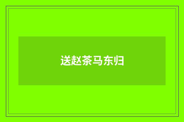 送赵茶马东归
