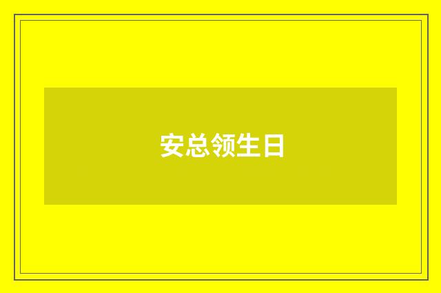 安总领生日