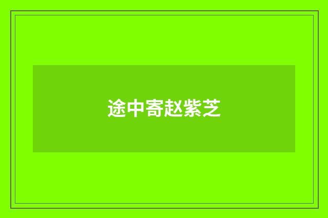 途中寄赵紫芝