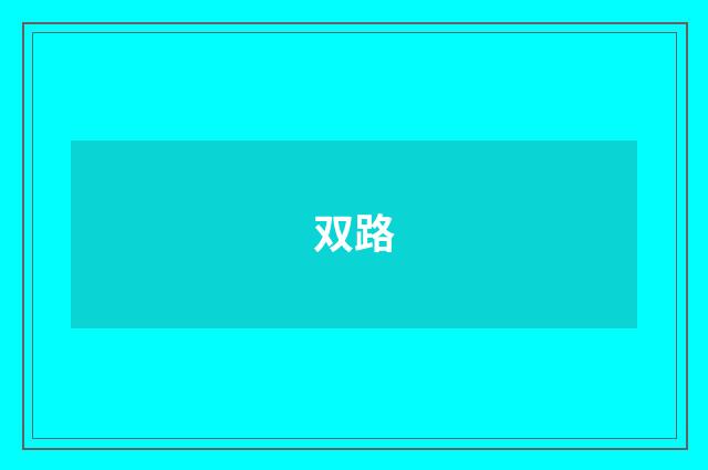 双路