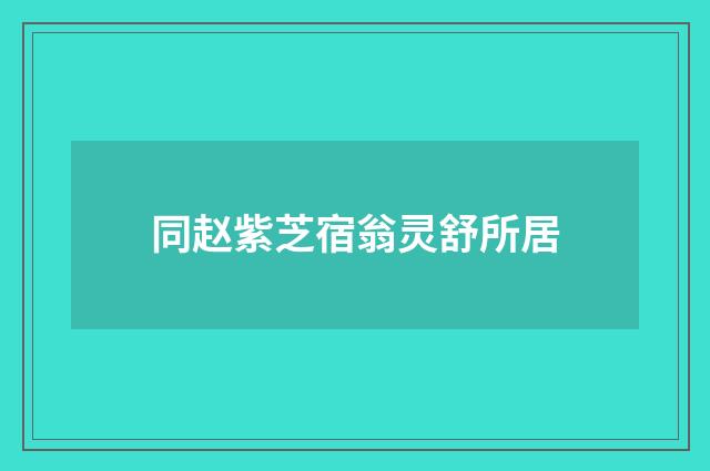 同赵紫芝宿翁灵舒所居