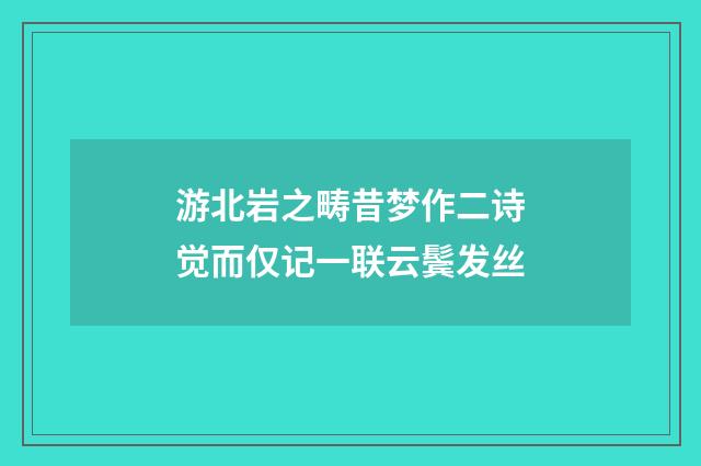 游北岩之畴昔梦作二诗觉而仅记一联云鬓发丝