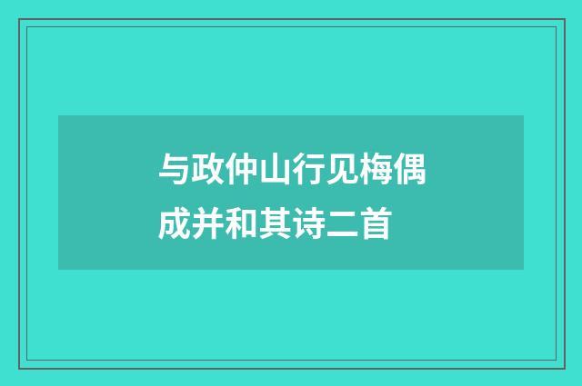 与政仲山行见梅偶成并和其诗二首