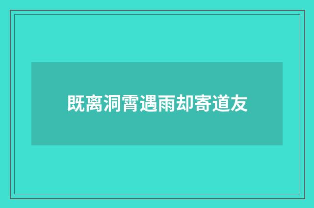 既离洞霄遇雨却寄道友