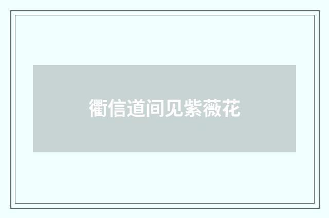 衢信道间见紫薇花