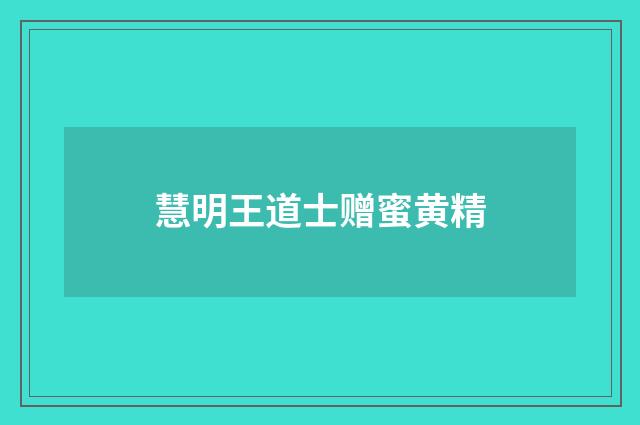 慧明王道士赠蜜黄精