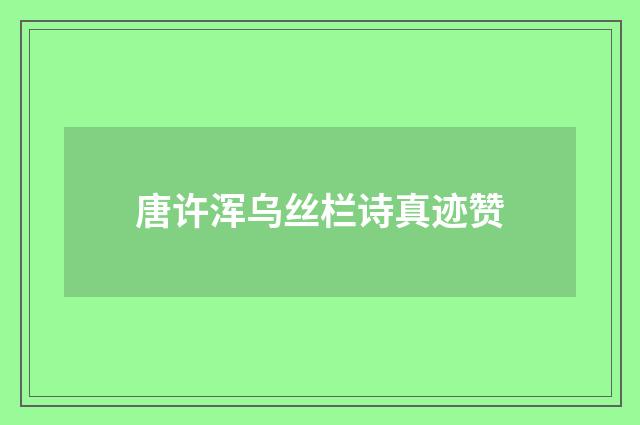 唐许浑乌丝栏诗真迹赞