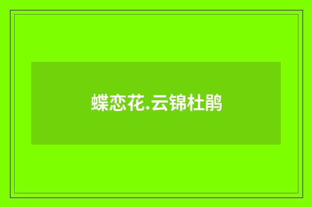 蝶恋花.云锦杜鹃