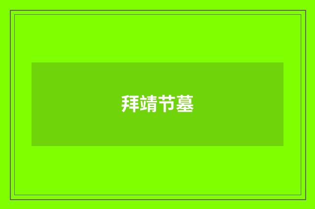 拜靖节墓