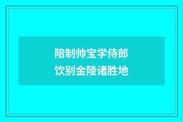 陪制帅宝学侍郎饮别金陵诸胜地