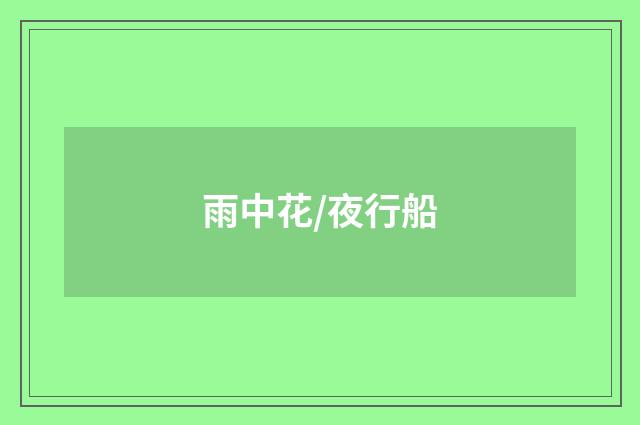 雨中花/夜行船