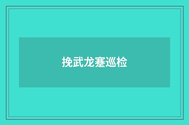 挽武龙蹇巡检