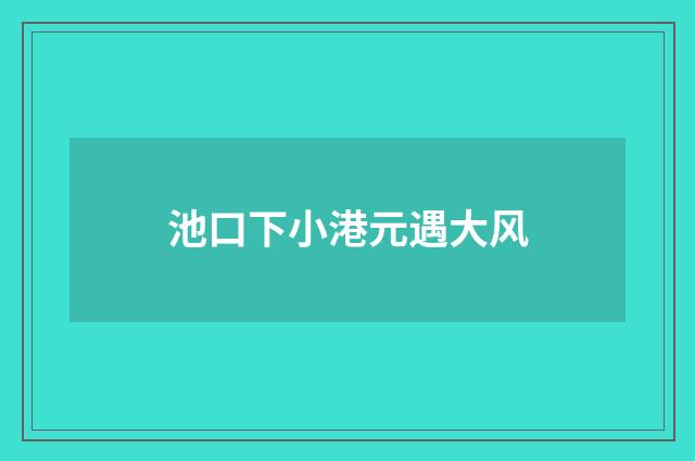 池口下小港元遇大风