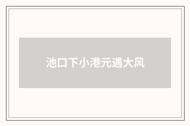 池口下小港元遇大风