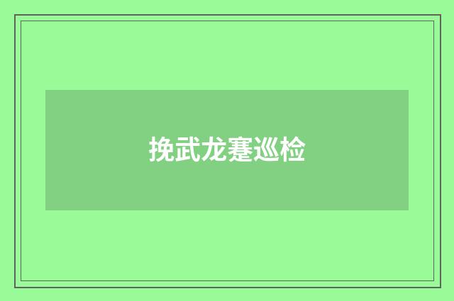 挽武龙蹇巡检