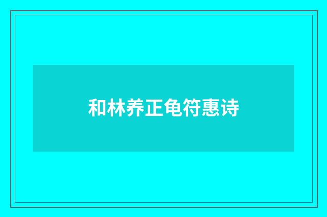 和林养正龟符惠诗