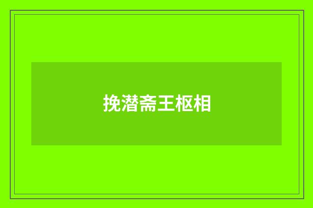 挽潜斋王枢相